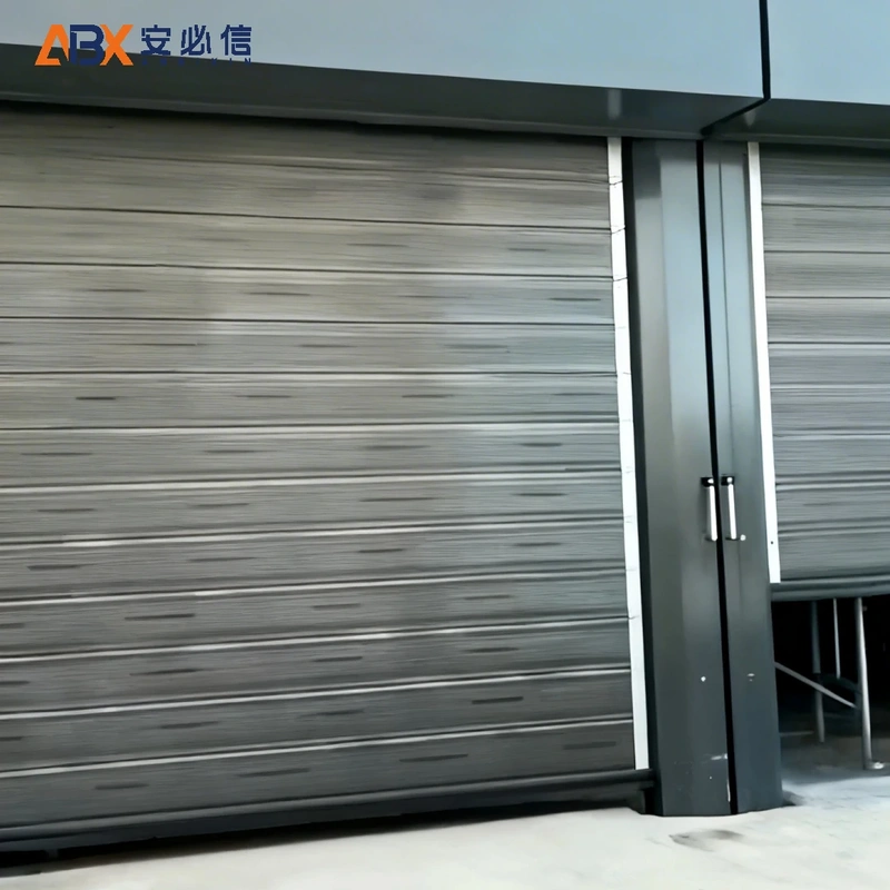 西双版纳傣族洁净室高速门